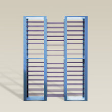 Load image into Gallery viewer, BoxKing + 48 shelves